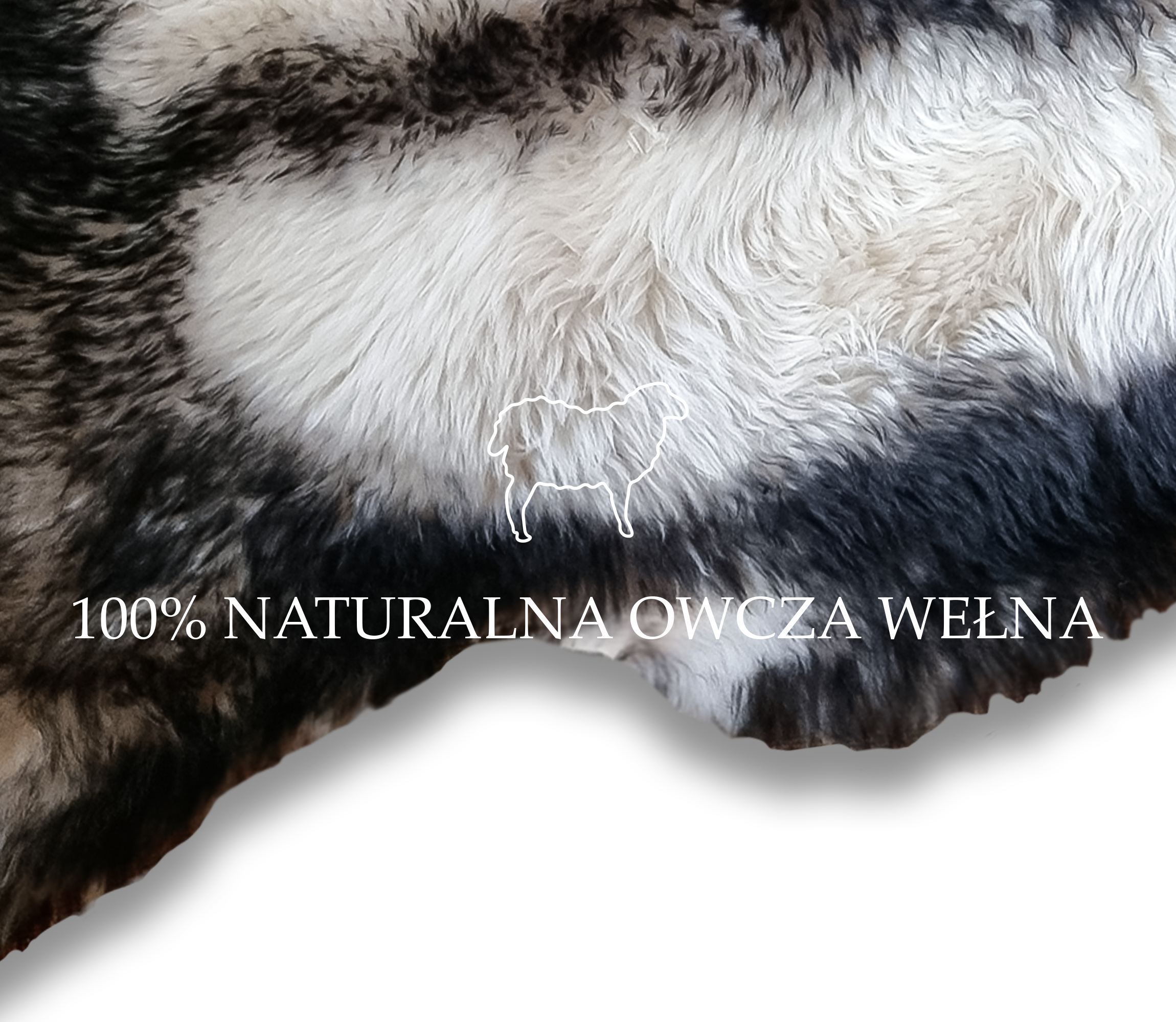 SKÓRA OWCZA SKÓRY OWCZE NATURALNE 120-130 cm DUŻE XXL