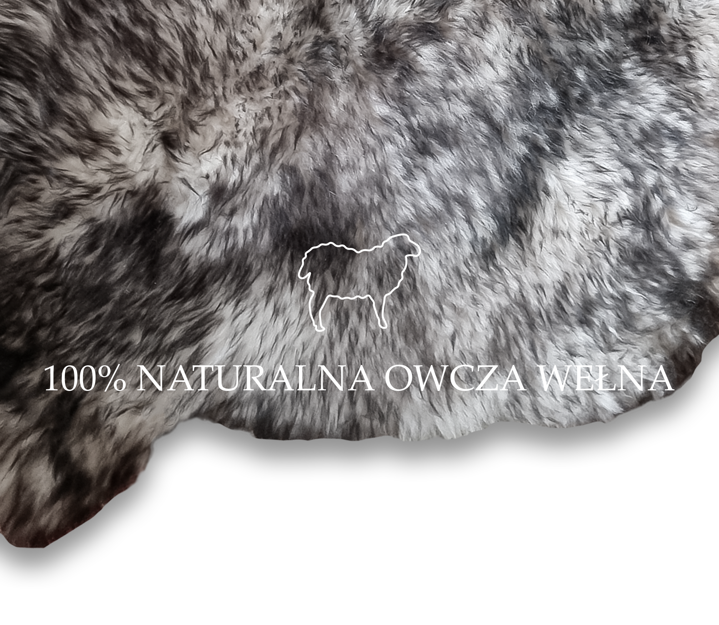 SKÓRA OWCZA SKÓRY OWCZE NATURALNE 120-130 cm DUŻE XXL