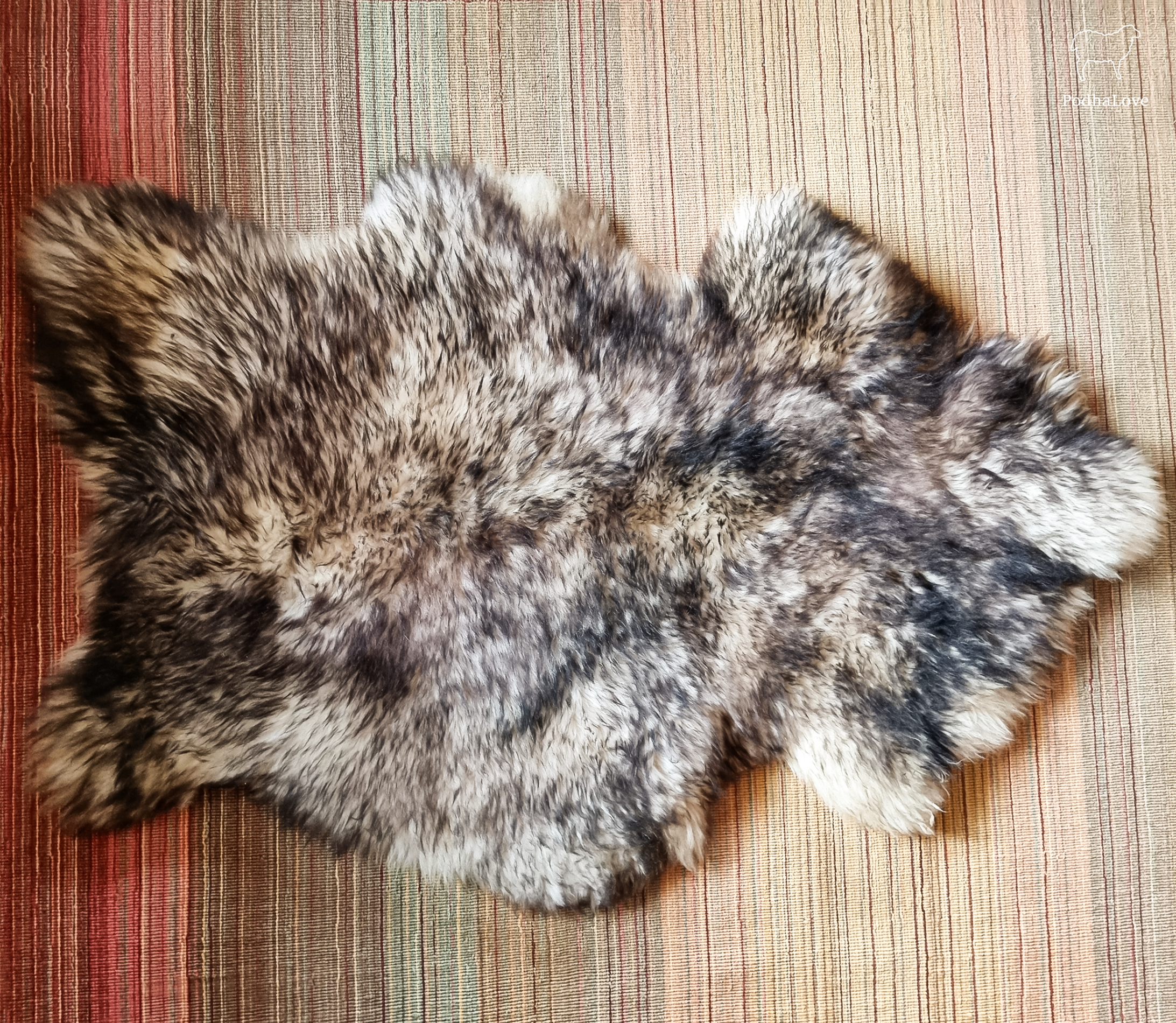 SKÓRA OWCZA SKÓRY OWCZE NATURALNE 120-130 cm DUŻE XXL