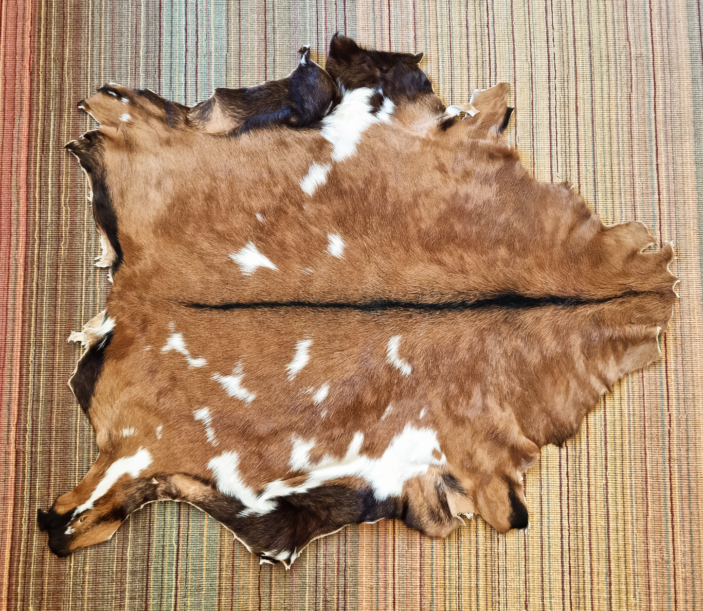 SKÓRA KOZIA BRĄZOWE SKÓRY KOZIE NATURALNE 80 - 90 cm DUŻE