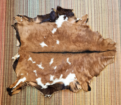 SKÓRA KOZIA BRĄZOWE SKÓRY KOZIE NATURALNE 80 - 90 cm DUŻE