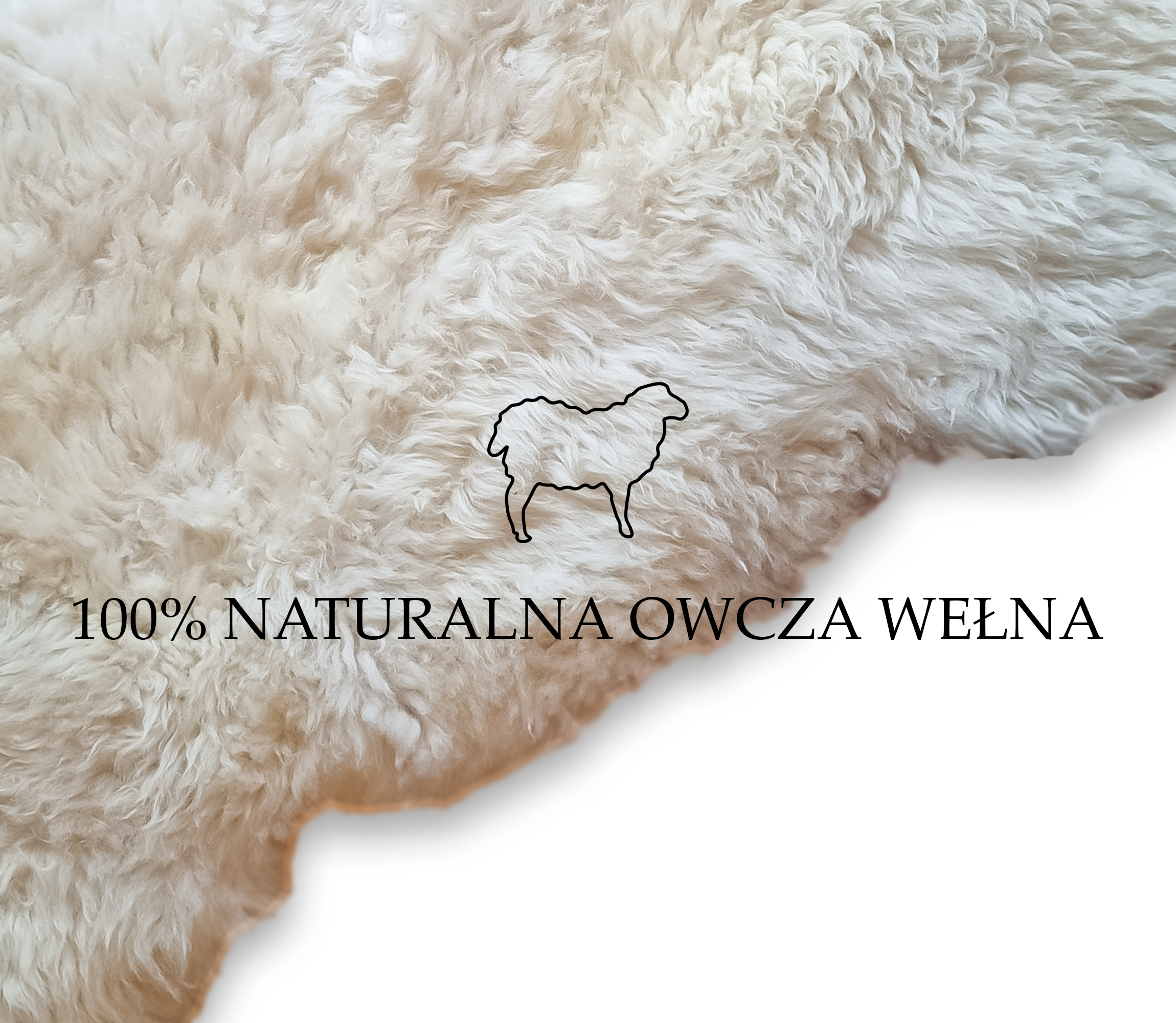 SKÓRA OWCZA SKÓRY OWCZE NATURALNE 120-130 cm DUŻE XXL